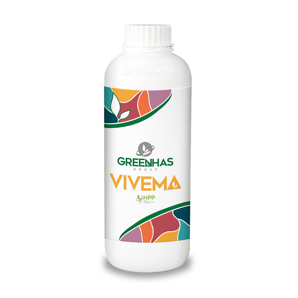 Vivema